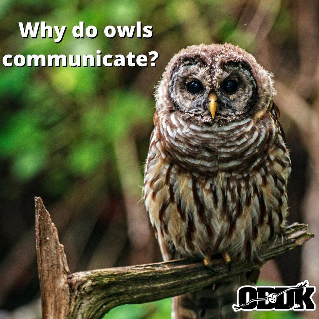 Why do owls communicate?