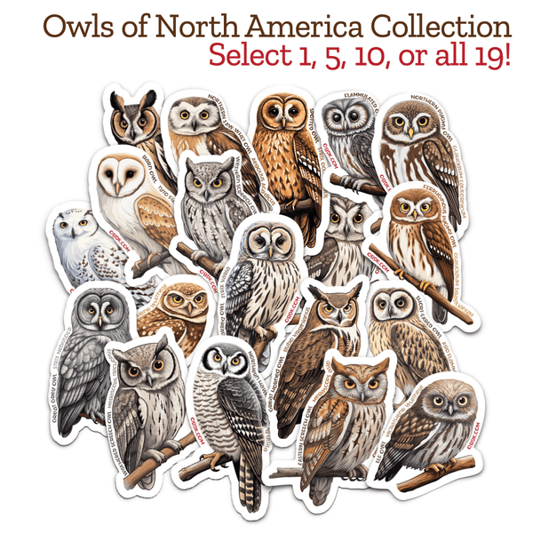 OWL STICKERS OF NORTH AMERICA