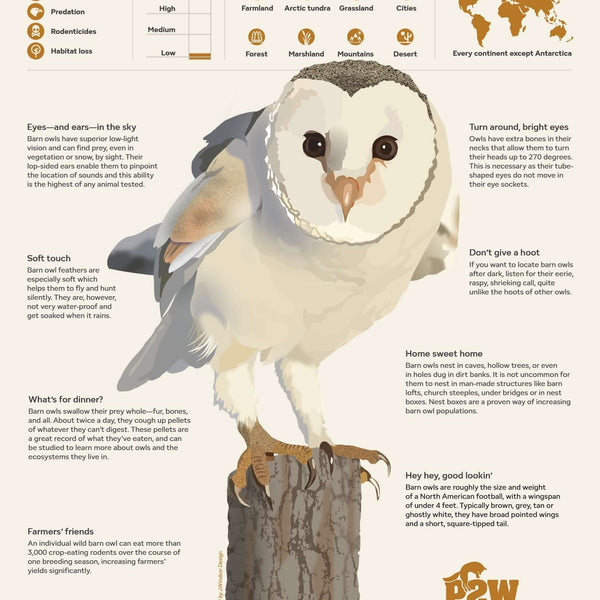 Raptor Facts Posters