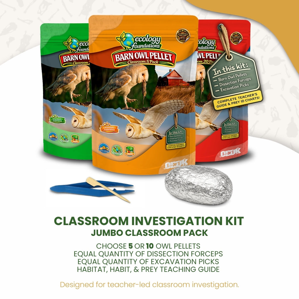 Ecology Foundations Premium Classroom Essentials  for Teaching 5 Students