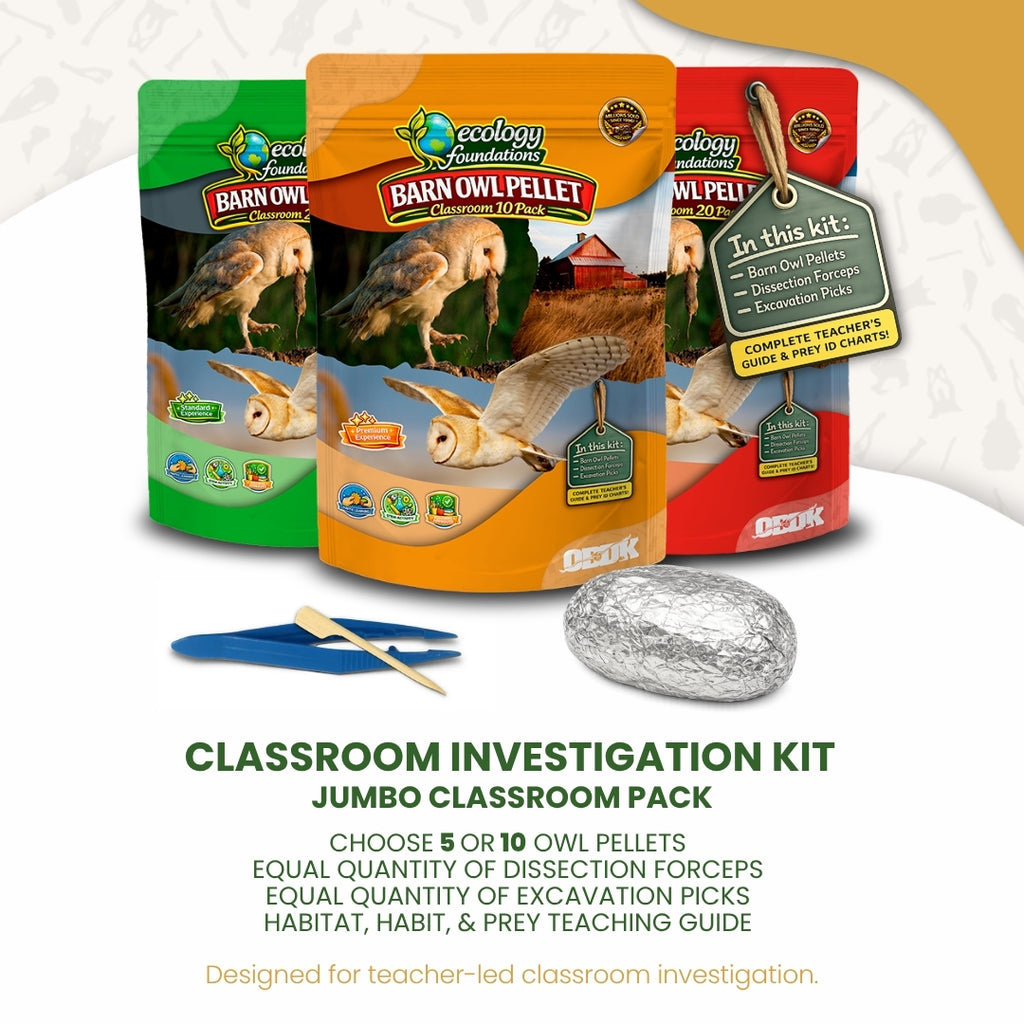Ecology Foundations Premium Classroom Essentials for Teaching 10 Students