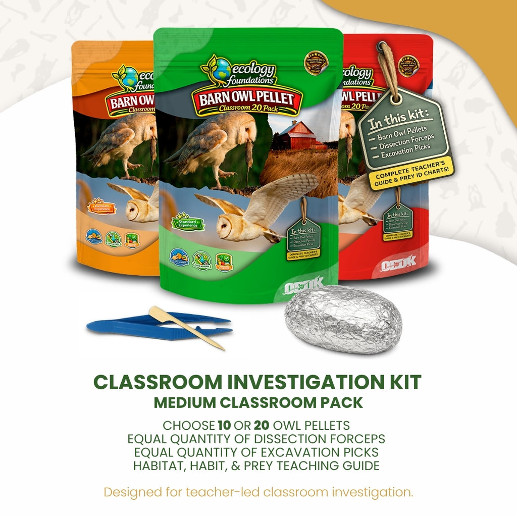 Ecology Foundations Classroom Essentials for Teaching 20 Students