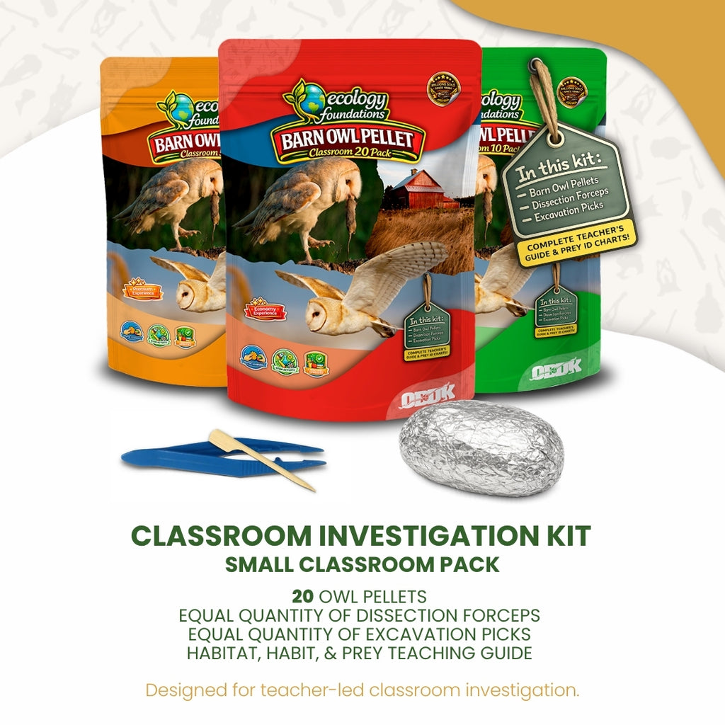 Ecology Foundations Classroom Essentials for Teaching 20 Students – Owl ...