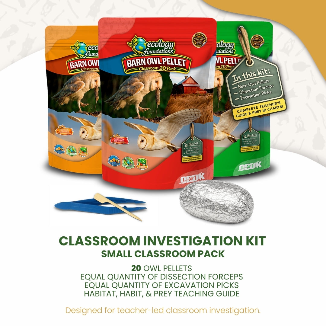 Ecology Foundations Classroom Essentials for Teaching 20 Students – Owl ...