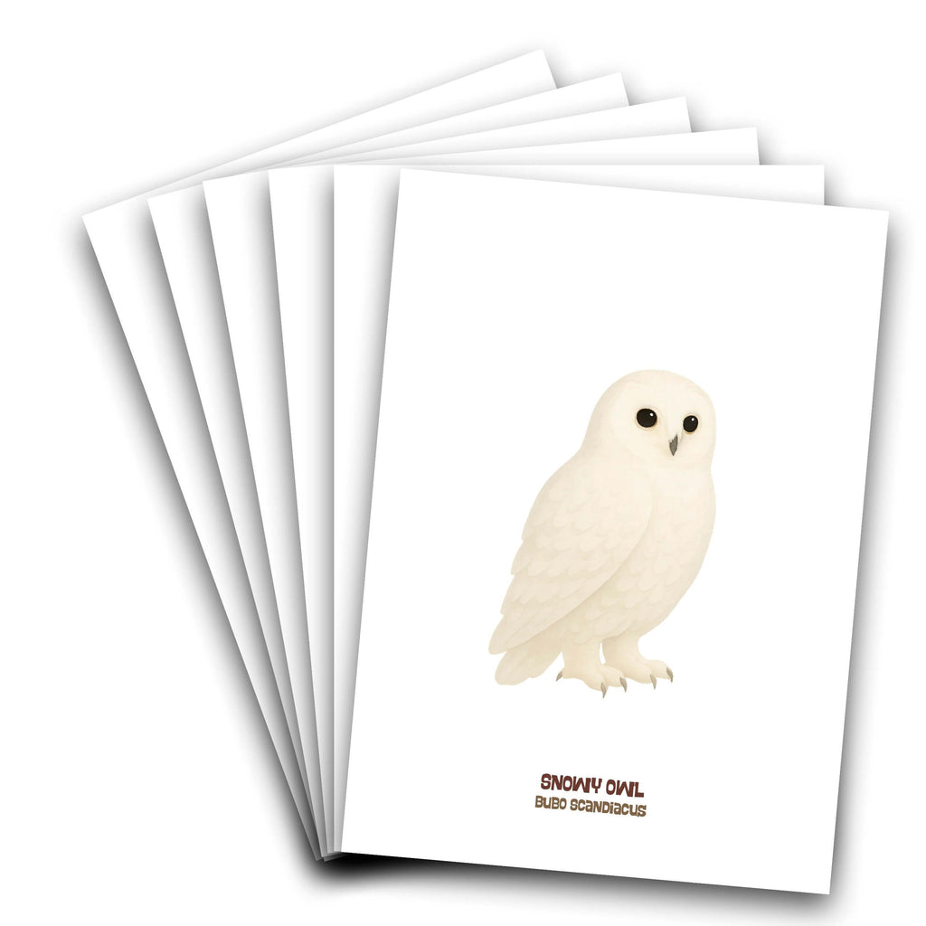 Snowy Owl 5×7 Greeting Card by OBDK (Blank Inside) featuring elegant owl illustrations on premium card stock.