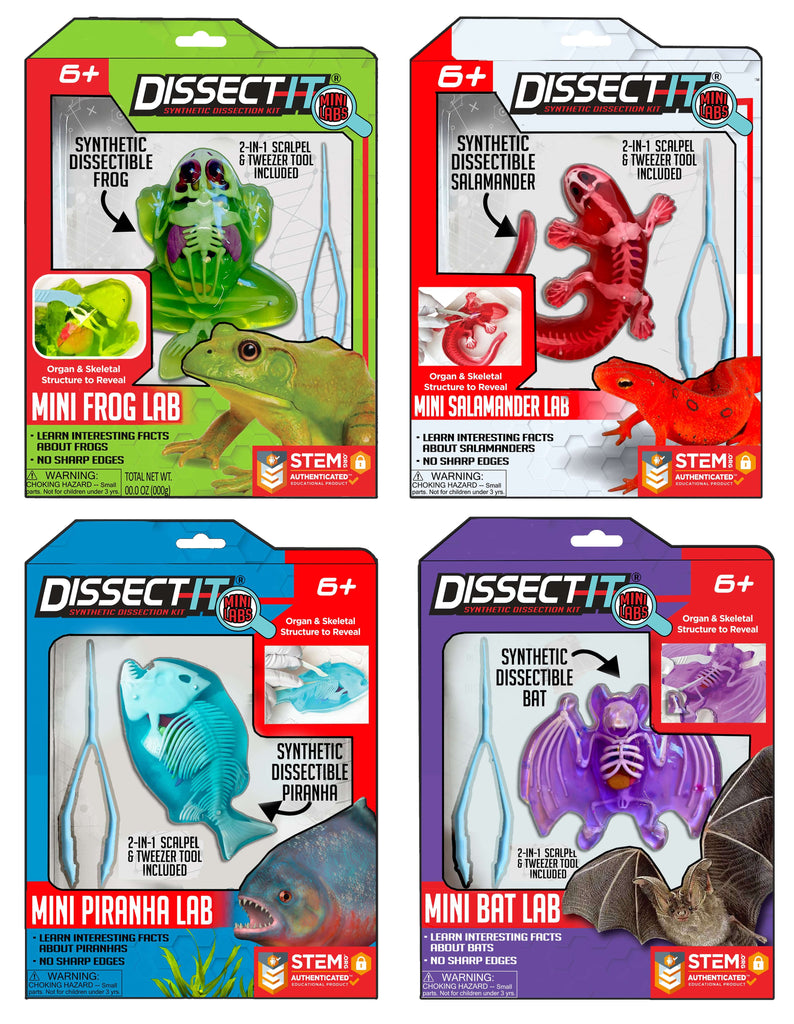 Discover It - Mini Frog Lab – Owl Brand Discovery Kits