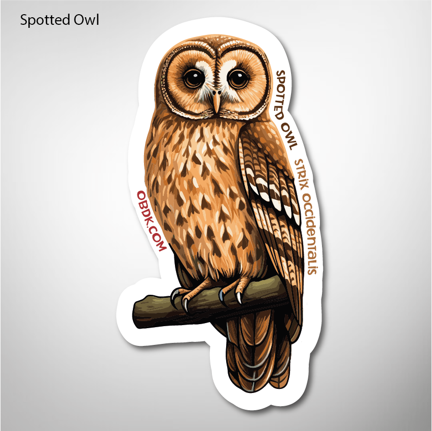 Spotted Owl 1.61"x3" Vinyl Sticker