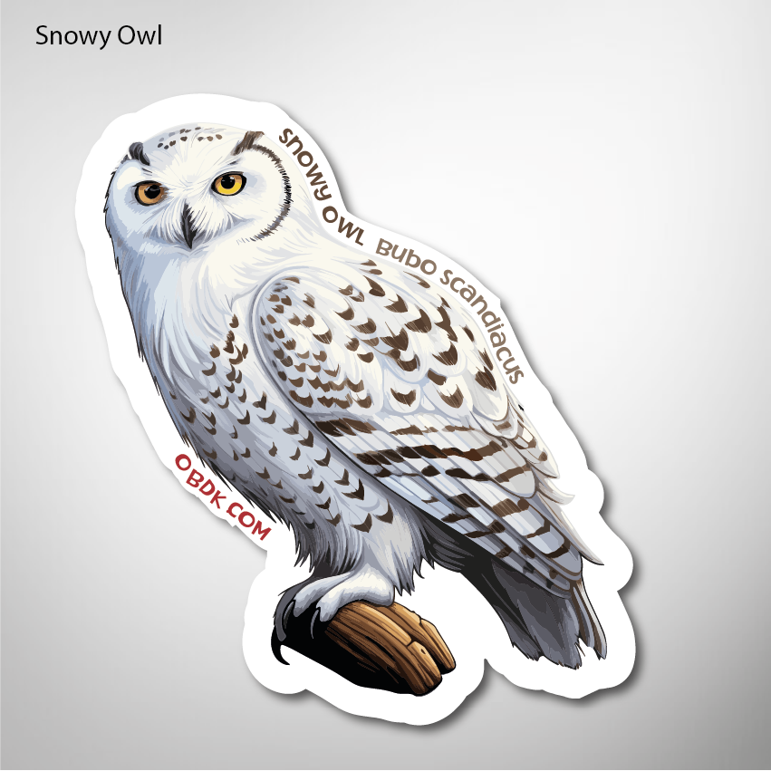 Snowy Owl 2″×2.24″ Vinyl Sticker