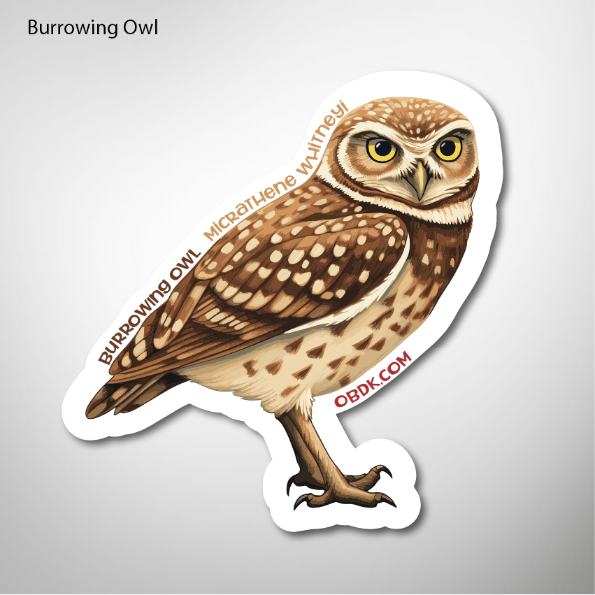 Burrowing Owl 2"x2.09" Vinyl Sticker