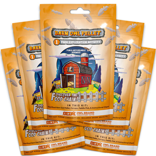 5 Large 1-Pack Exploration Activities