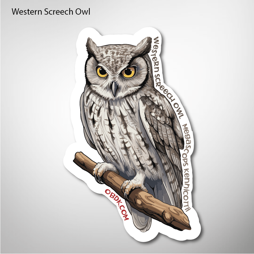 Wooden Screech Owl 1.9"x3" Vinyl Sticker