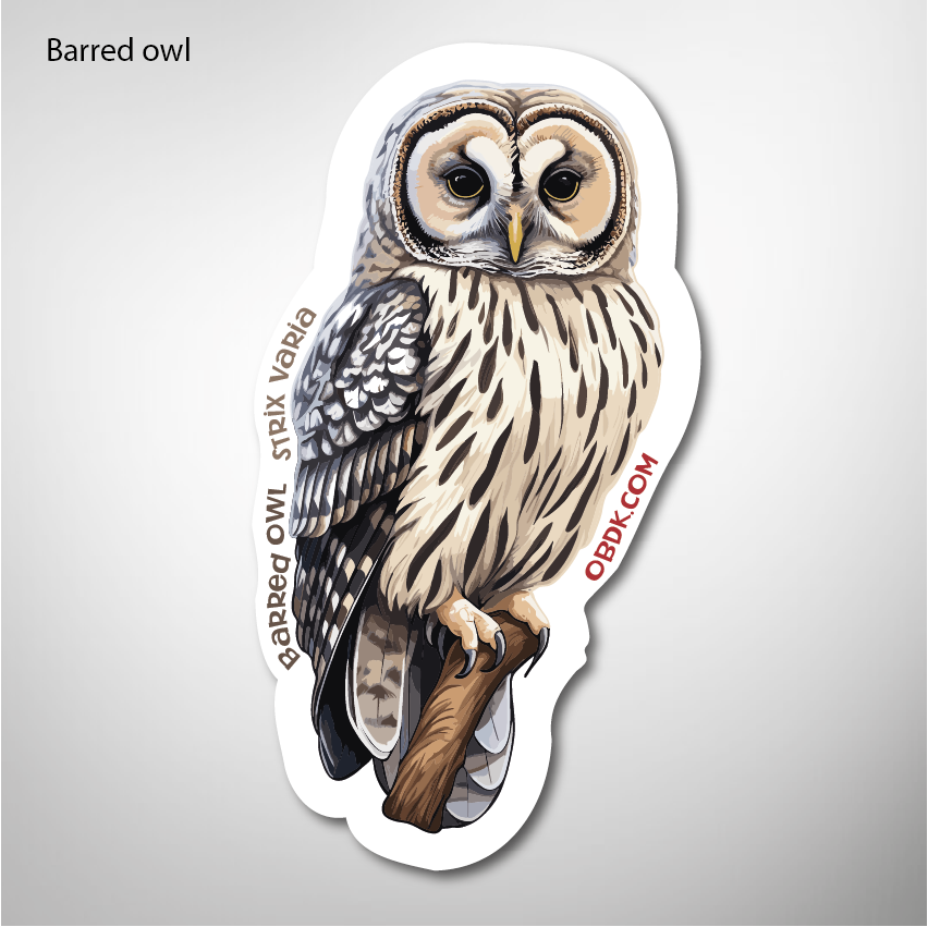 Barred Owl 1.6"x3" Vinyl Sticker