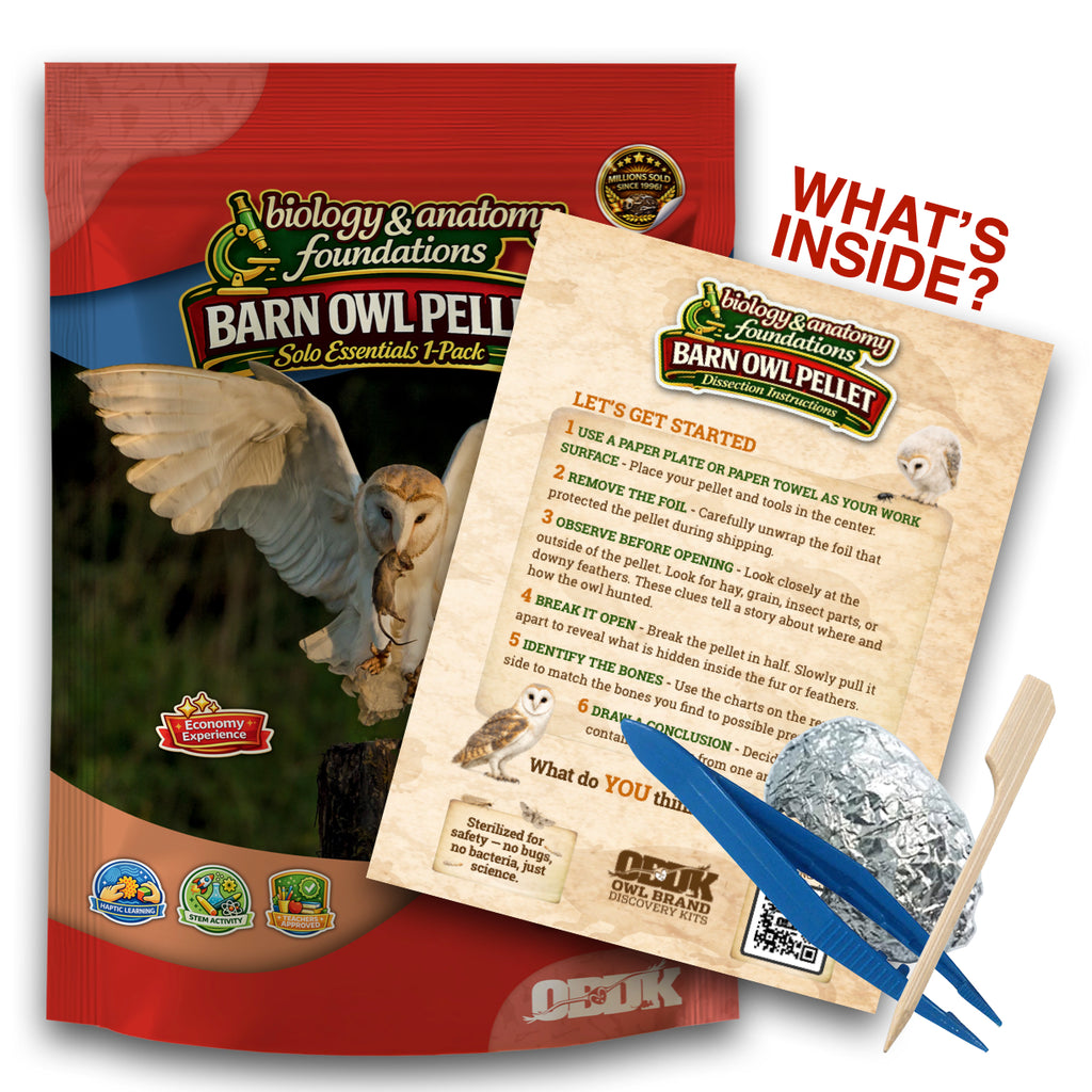 Solo Essentials Small 1-Pack Owl Pellet Activity