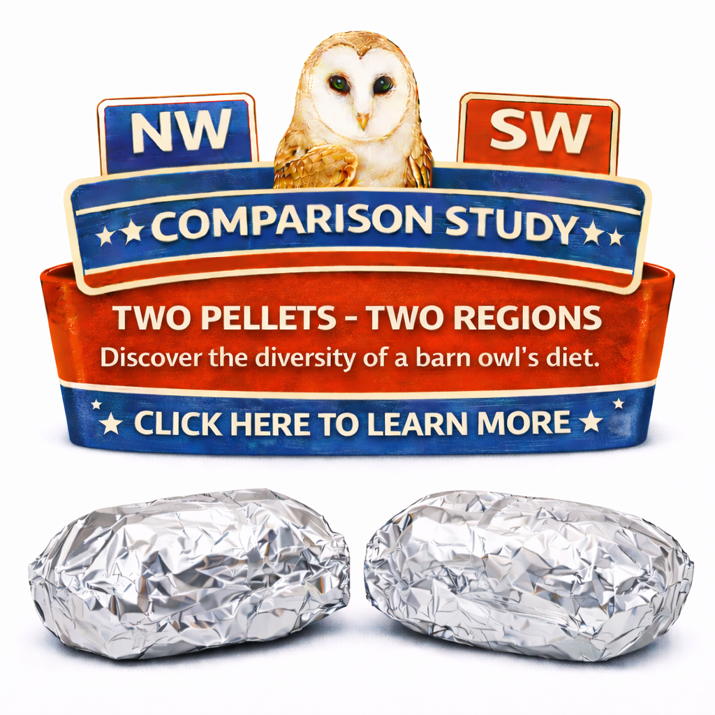 Medium 2-Pellet Comparison - FREE US Shipping
