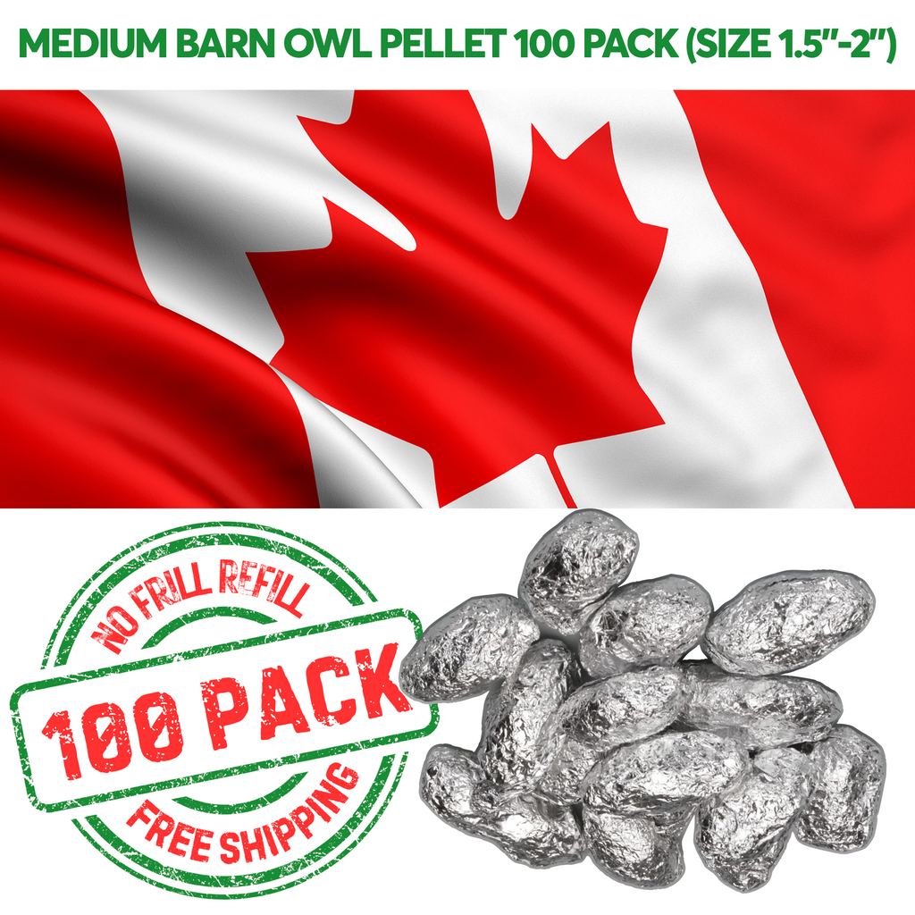 NO FRILL REFILL - 100 Medium Owl Pellets To Canada (Price in USD)