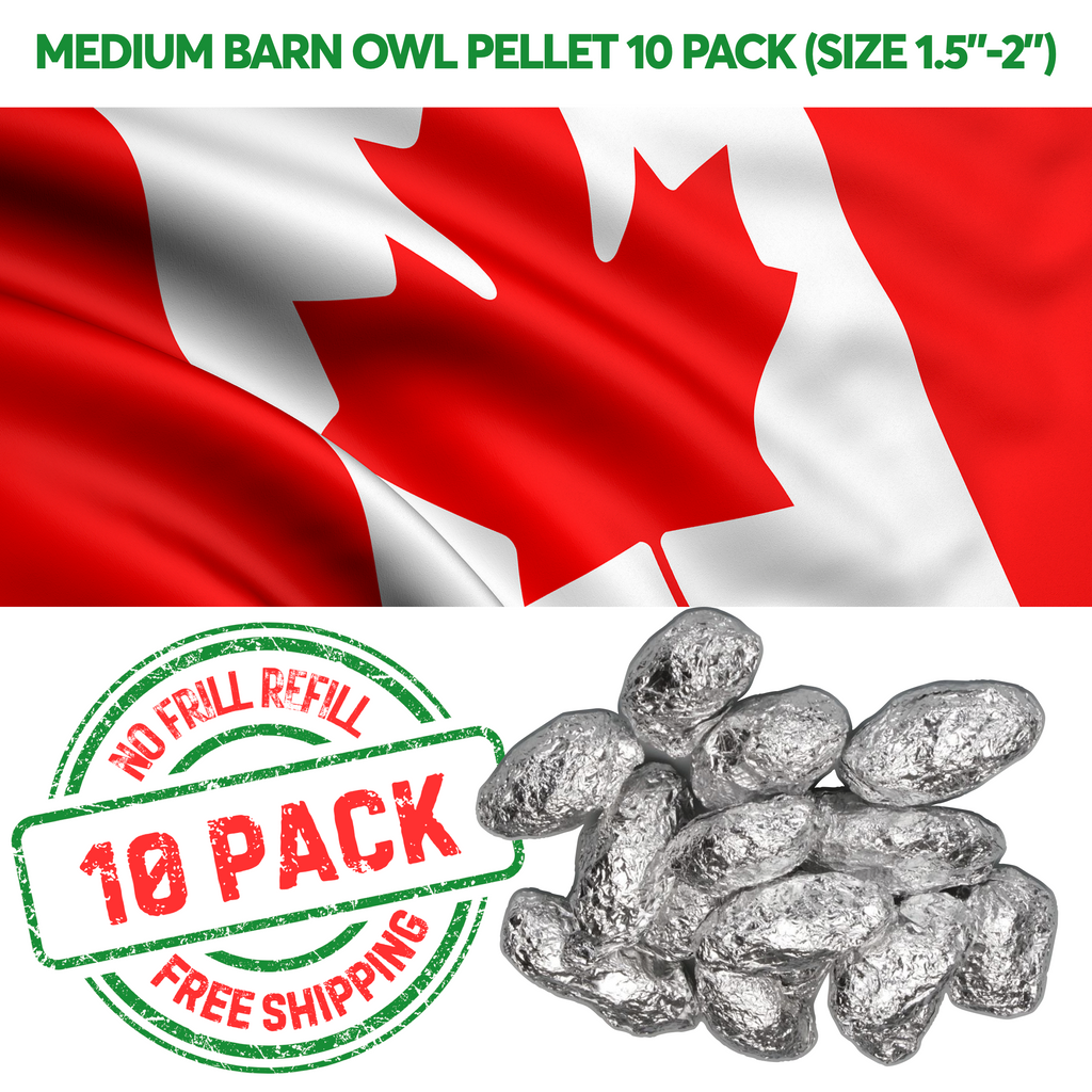 NO FRILL REFILL - 10 Medium Owl Pellets To Canada (Price in USD)