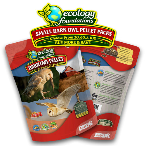 100 Small Pellet Pack + Tools + Guide