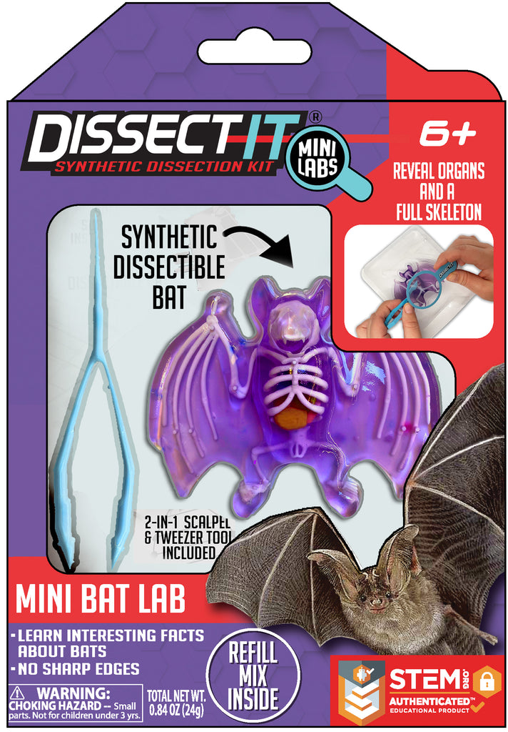 Discover It - Mini Bat Lab