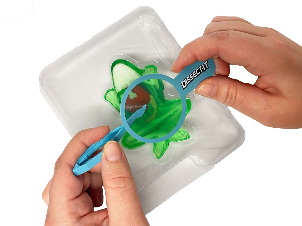 Discover It - Mini Lab Complete Set of Frog, Salamander, Piranha