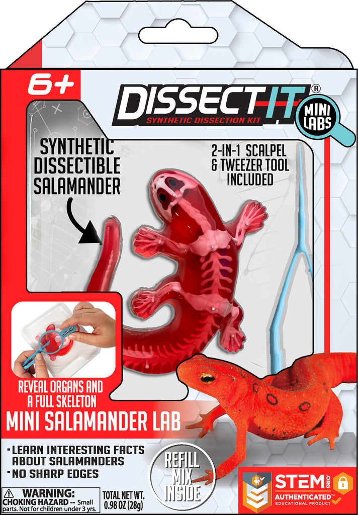 Discover It - Mini Salamander Lab