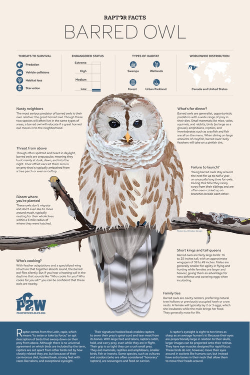 Raptor Facts: Barred Owl 11x17 Poster