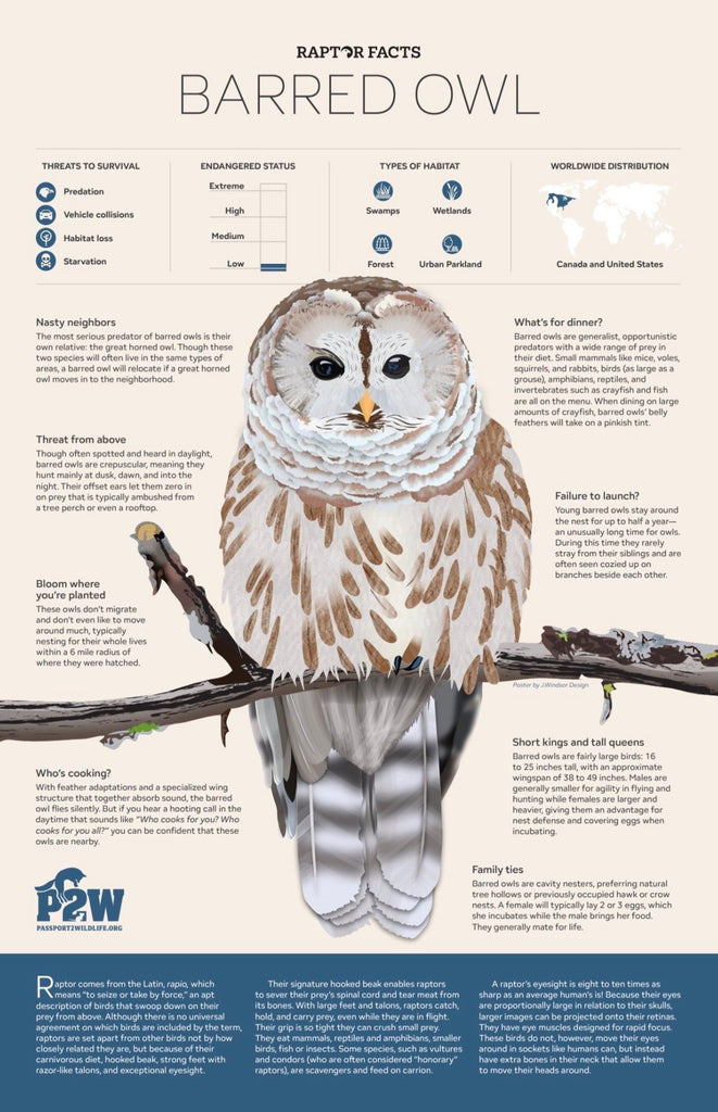 Raptor Facts: Barred Owl 11x17 Poster