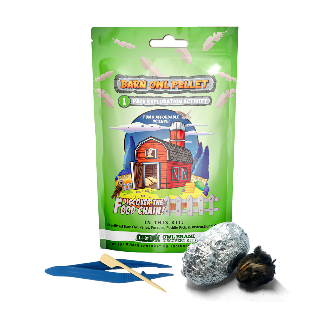 Medium 1-Pack Exploration Activity