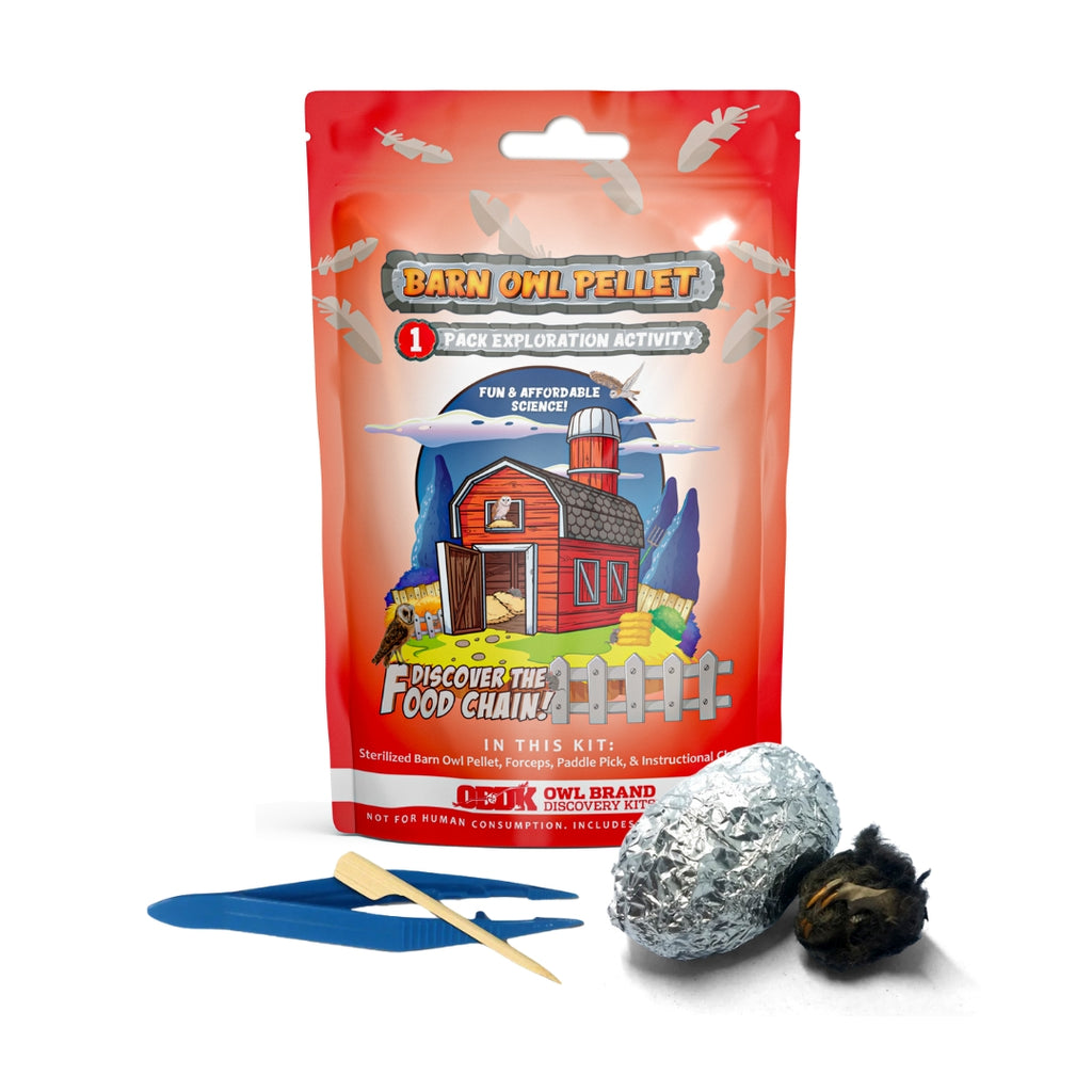 Small 1-Pack Exploration Activity