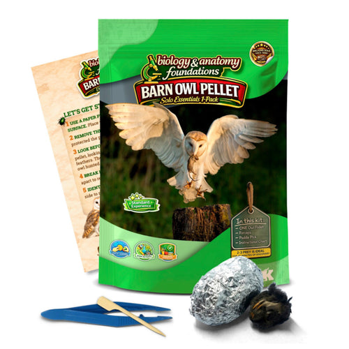Biology & Anatomy Foundations - Solo Essentials Medium Sterilized Barn Owl Pellet Activity