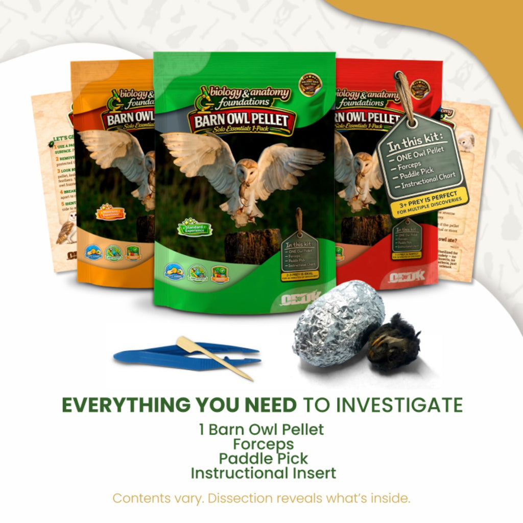 Biology & Anatomy Foundations - Solo Essentials Medium Sterilized Barn Owl Pellet Activity