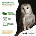 Biology & Anatomy Foundations - Solo Essentials Medium Sterilized Barn Owl Pellet Activity