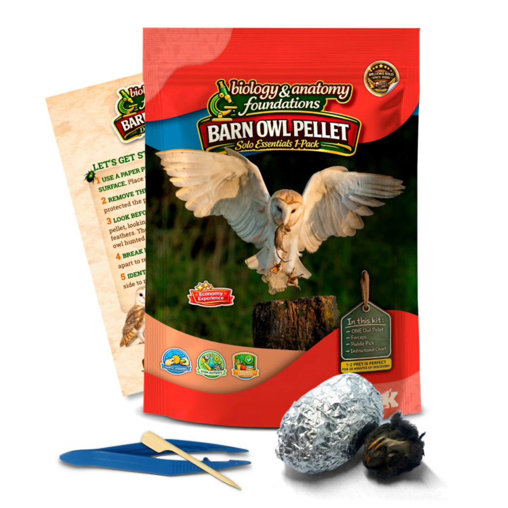 Solo Essentials Small 1-Pack Owl Pellet Activity