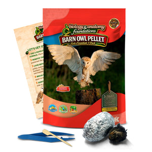 Biology & Anatomy Foundations Solo Essentials Small Sterilized Barn Owl Pellet Activity