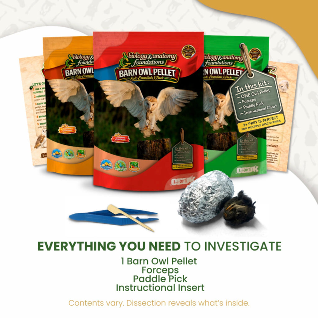 Biology & Anatomy Foundations Solo Essentials Small Sterilized Barn Owl Pellet Activity