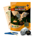 Biology & Anatomy Foundations Solo Essentials Large Sterilized Barn Owl Pellet Activity
