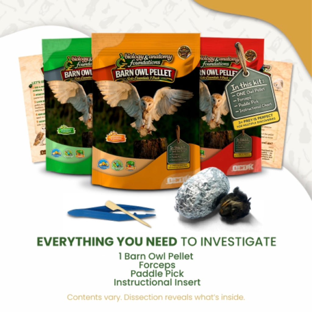Biology & Anatomy Foundations Solo Essentials Large Sterilized Barn Owl Pellet Activity