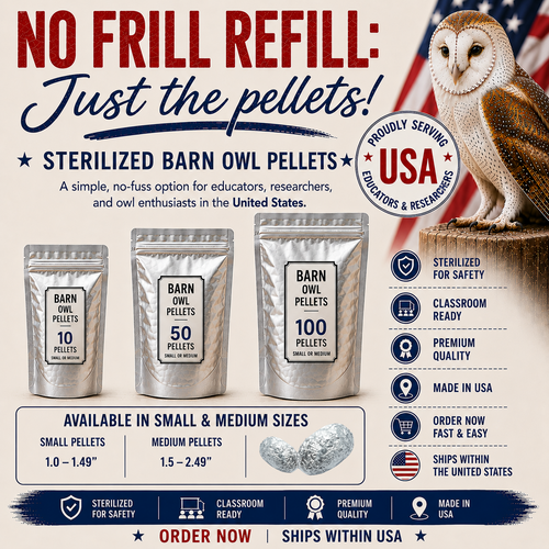 NO FRILL REFILL - 100 Medium Pellets - Free Shipping