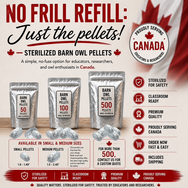 CANADA NO FRILL REFILL – International Classroom Pricing