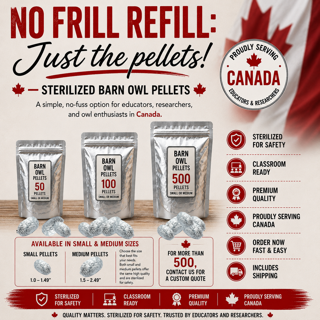 CANADA NO FRILL REFILL – International Classroom Pricing