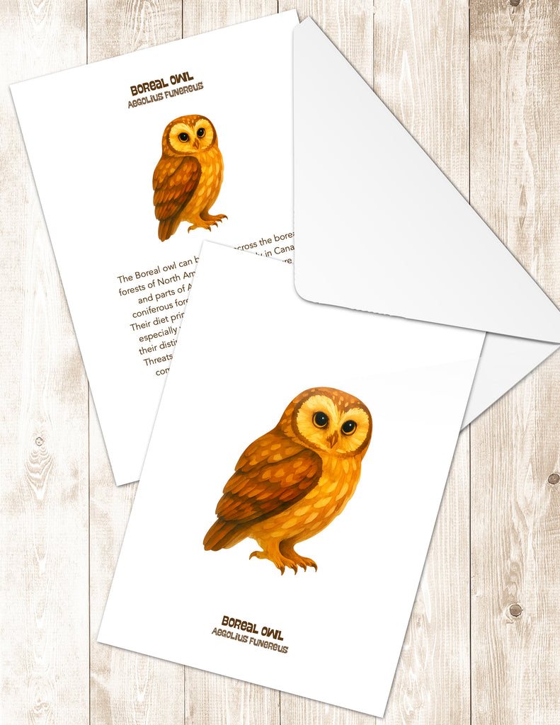 Boreal Owl Greeting Cards in 3 Styles