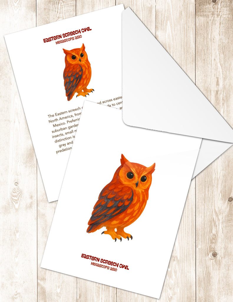 Eastern Screech Greeting Cards in 3 Styles