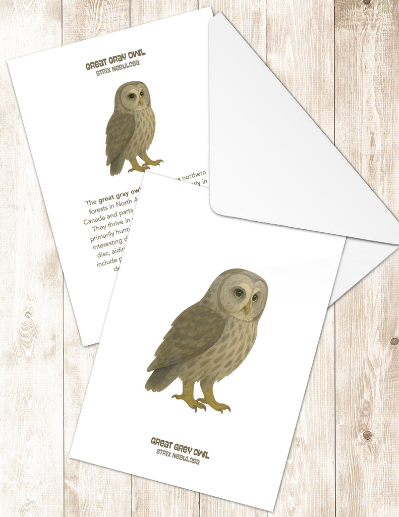 Great Grey Owl Greeting Cards in 3 Styles