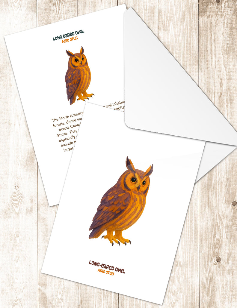 Long Eared Owl Greeting Cards in 3 Styles