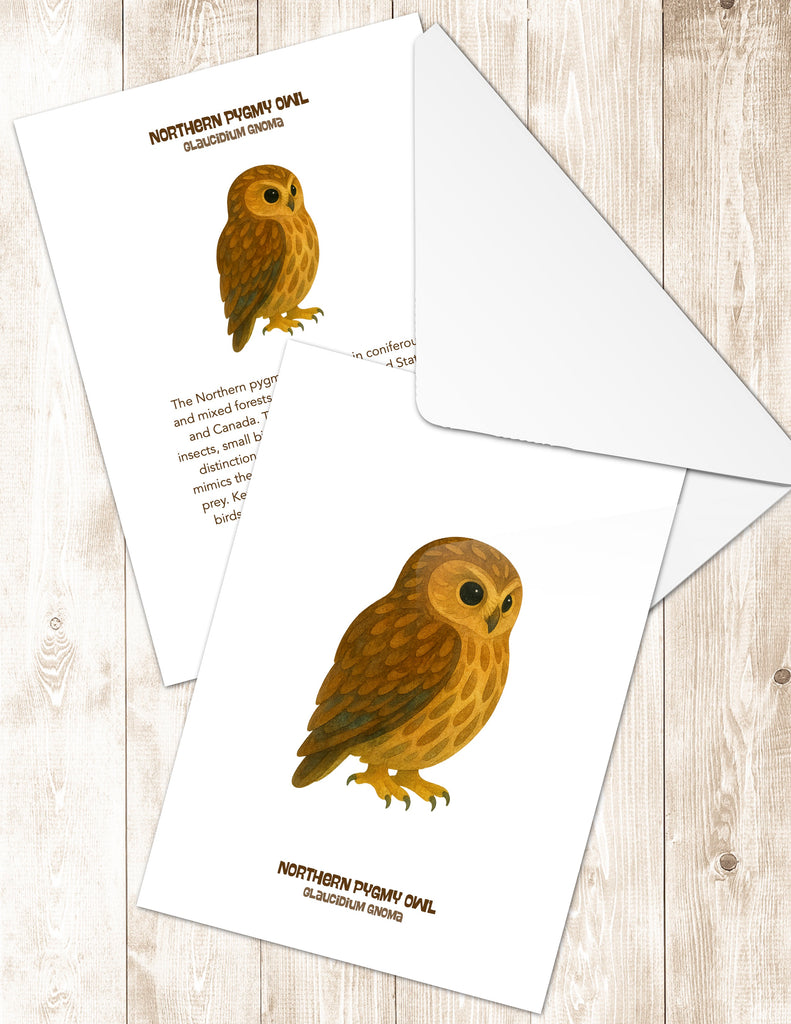 Northern Pygmy Owl Greeting Cards in 3 Styles