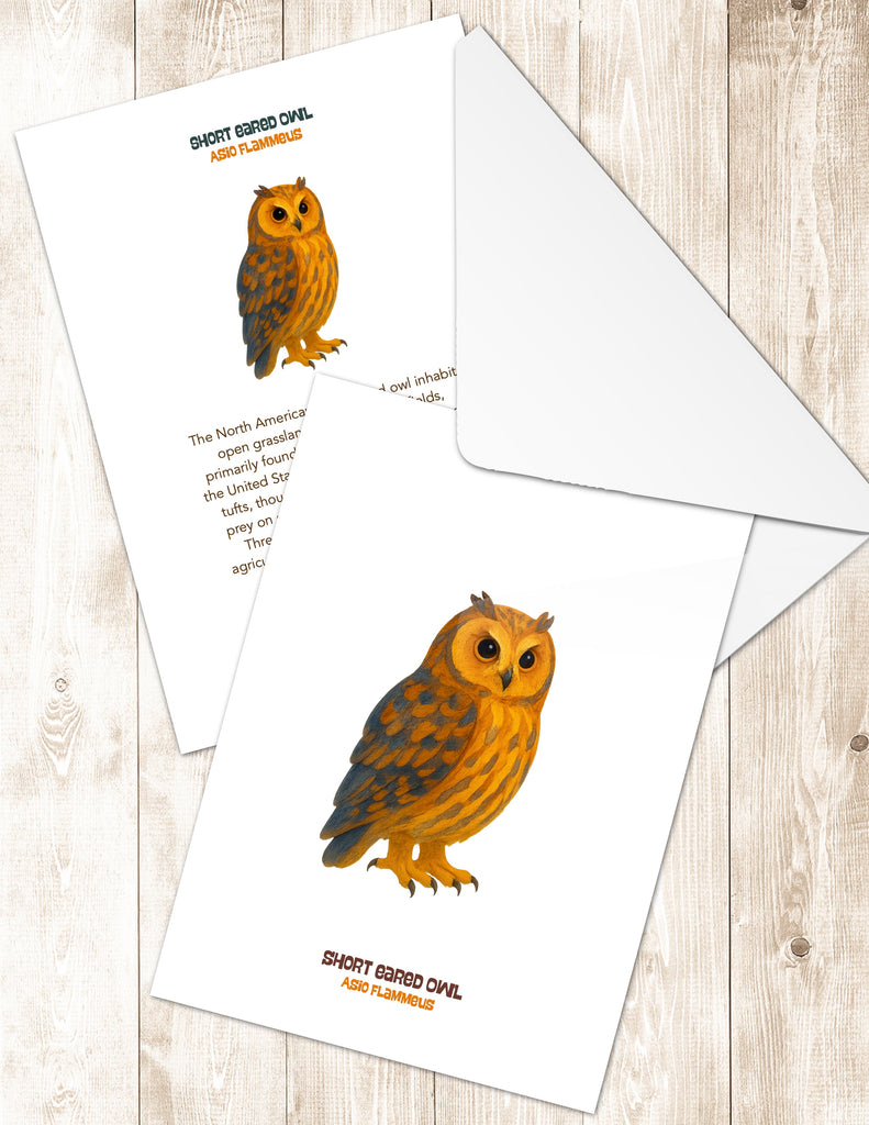 Short-eared Owl Greeting Cards in 3 Styles