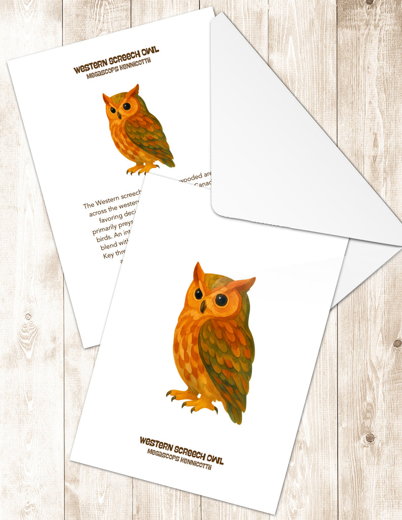 Western Screech Owl Greeting Cards in 3 Styles