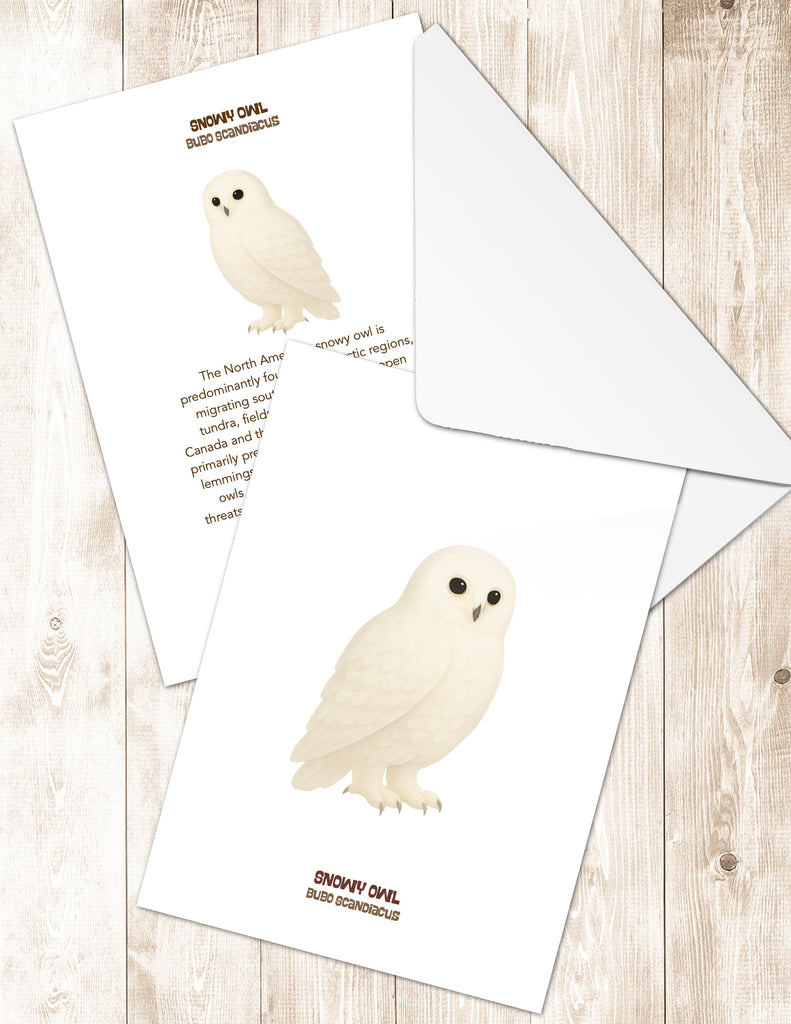 Snowy Owl Greeting Cards in 3 Styles