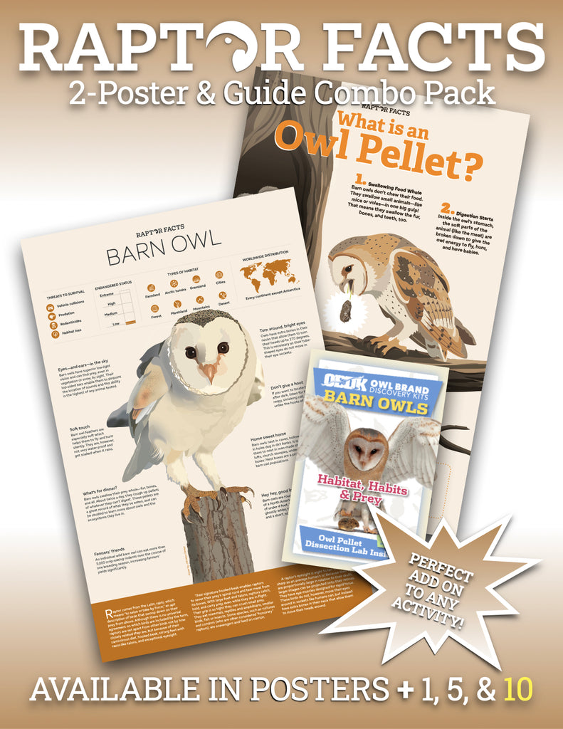 Raptor Facts 2 Poster Combo & 10 Habitat, Habits, & Prey Teacher's Guides