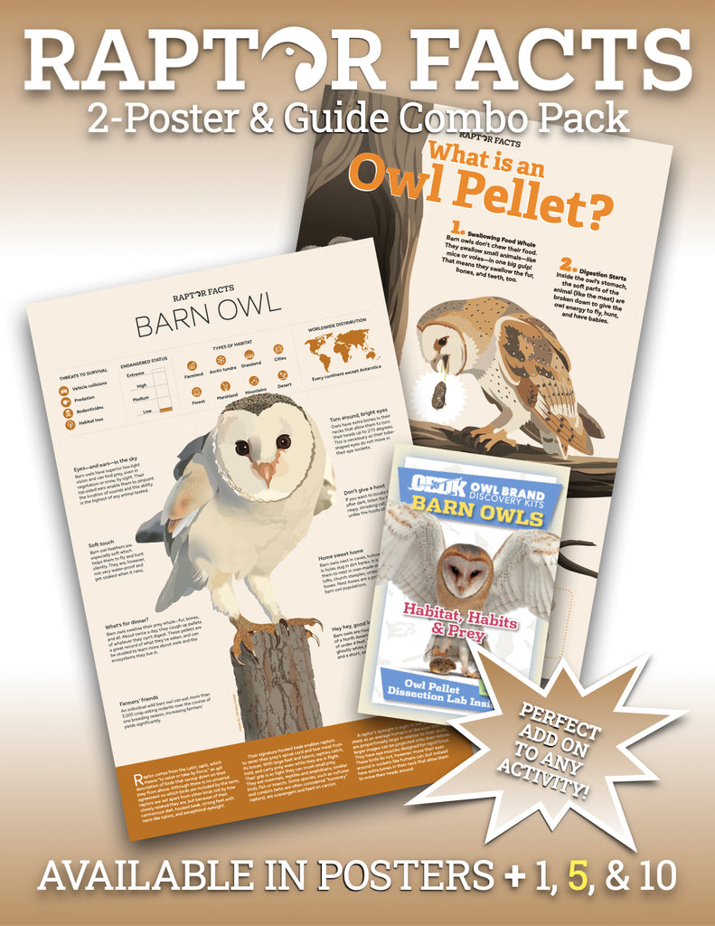 Raptor Facts 2 Poster Combo & 5 Habitat, Habits, & Prey Teacher's Guides