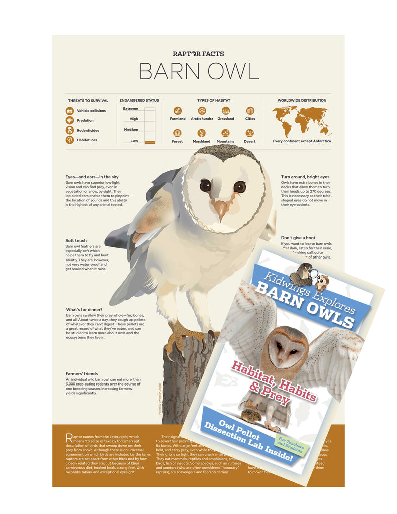 Raptor Facts: Barn Owl Poster and Habitat, Habits, & Prey Guide